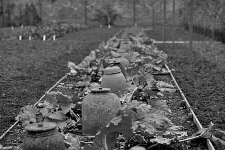 Stefan Leppert, Winter Garten, Mnsterland