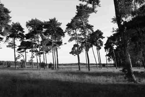 Stefan Leppert, Nationalpark Hoge Veluwe, Holland